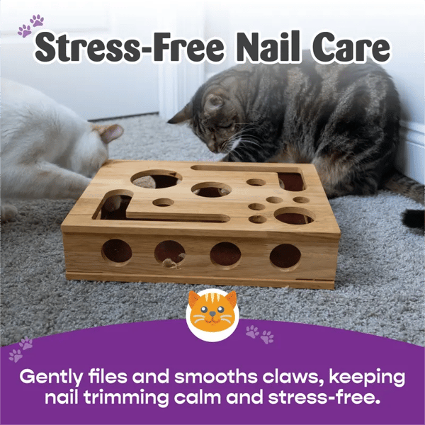 The Polished Claws™ Box